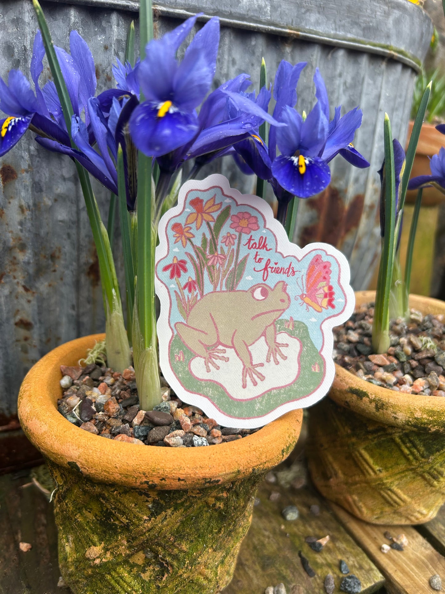 Frog Friends Sticker