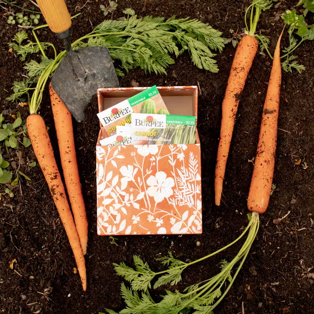 Greeting Card Seed Box Set